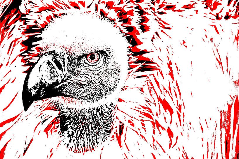 un grand vautour du Cap mixed media par Werner Lehmann