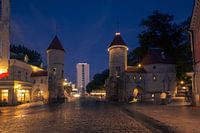 Kleipoort in Tallinn in de avond
