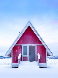 Cabin 5
