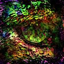 Gaia Is Watching Us by Dorothy Berry-Lound thumbnail