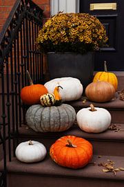 New York pumpkins at the brownstones by Shaquille Maarschalkerweerd