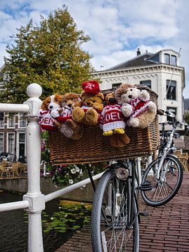 Glückliches Fahrrad in den Niederlanden von Dario En Holanda