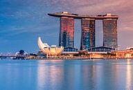 Skyline Singapour la nuit par Ilya Korzelius Aperçu