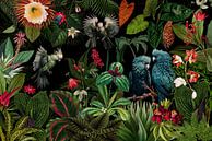 Mitternachts Vogel und Blumen Dschungel von Floral Abstractions Miniaturansicht