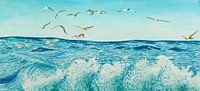 Seagulls