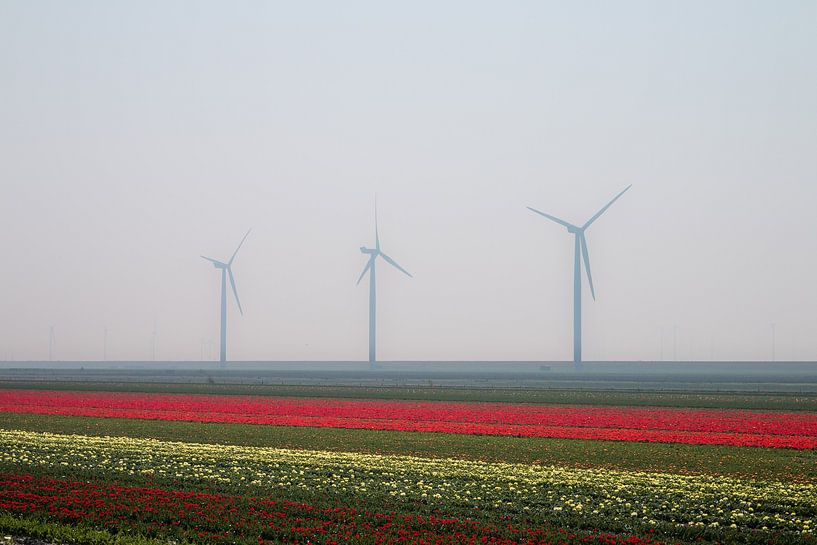 Blumen 4 von Nuance Beeld