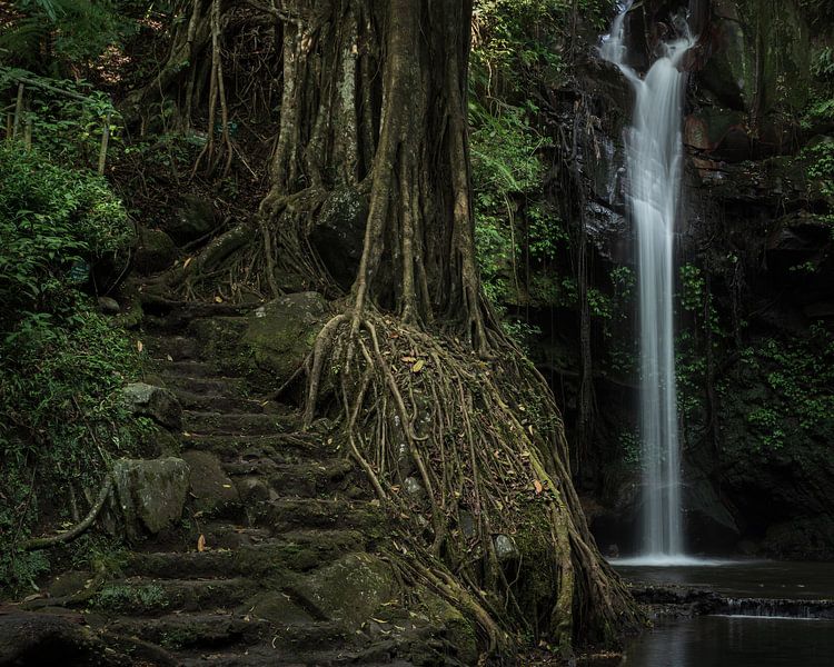 The Putri Palutungan waterfall in West Java by Anges van der Logt