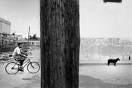 The Biker, the pole and the Dog by Henri Berlize thumbnail
