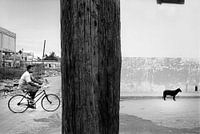 The Biker, the pole and the Dog