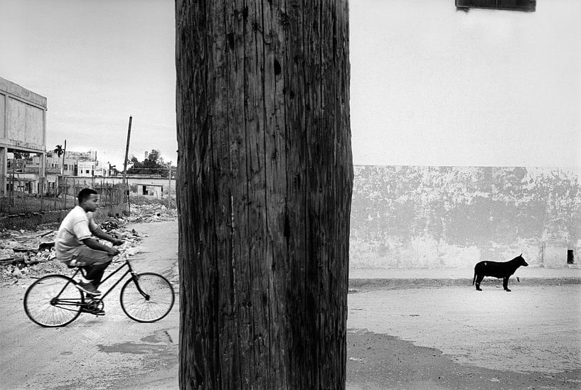 The Biker, the pole and the Dog by Henri Berlize