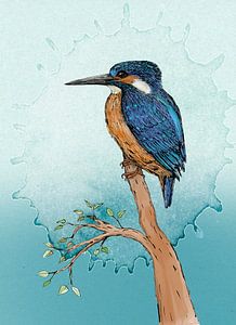 Eisvogel farbige Tuschezeichnung