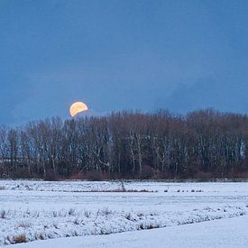Thérapie lunaire sur Arthur de Groot