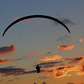 Paraglider by sunset sur Yvonne Steenbergen