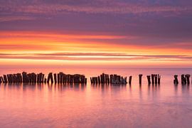 Grote finale van Ton Drijfhamer