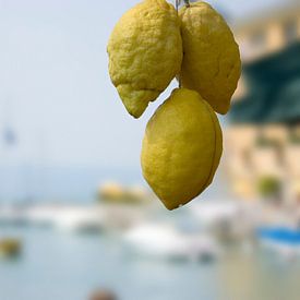 Zitronen auf dem italienischen Hafenmarkt von Mario Verkerk