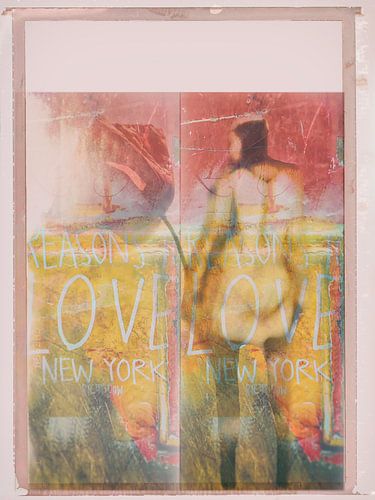 Het meisje met de klaproos