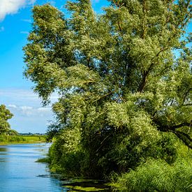 Mecklenburg river landscape by Ullrich Gnoth