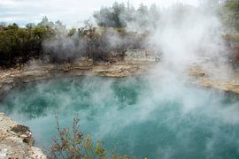 Whakarewarewa, vallée géothermique, Nouvelle-Zélande sur Nynke Altenburg