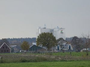 De valk Wekerom