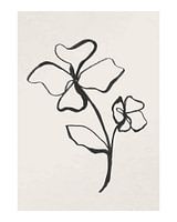 One Flower