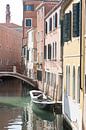 Venedig von heidi borgart Miniaturansicht
