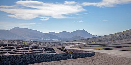 Landschap op Lanzarote