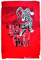 Brave white tiger