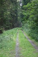 Bergweg
