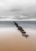 Silent coast