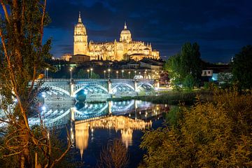 Salamanca van Rainer Pickhard