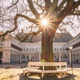 Zonnig koninklijk paleis van Kevin Coellen