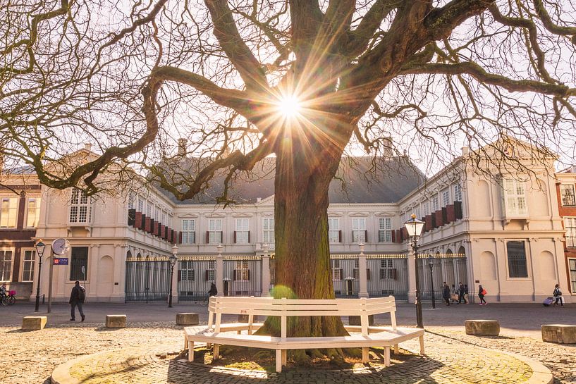 Zonnig koninklijk paleis van Kevin Coellen