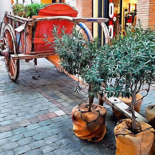 Olijfbomen en kar Decor