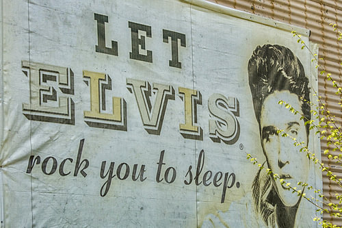 Laat Elvis je in slaap wiegen van Patricia Hofmeester