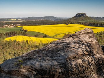 Großer Bärenstein, Sächsische Schweiz - Lilienstein von Pixelwerk