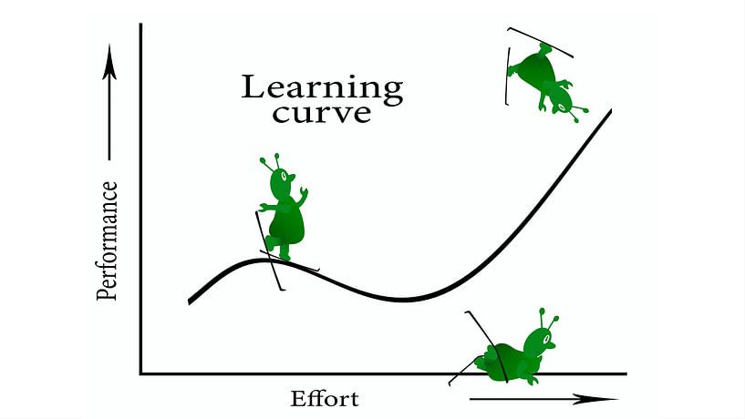 Die Lernkurve von Grünmtyer von Grüntyers .