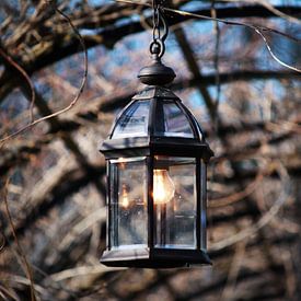 Lantern light von Ilse Rood