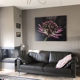 Photo de nos clients: Fleur à la "lumière fumante" par Marjolijn van den Berg, sur alu-dibond