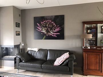 Kundenfoto: Blume in "dampfendem Licht" von Marjolijn van den Berg