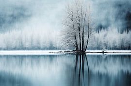 La magie de l'hiver au bord du lac