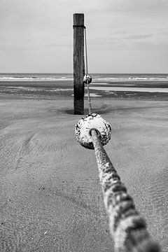 Beach posts by the sea by Rob van der Teen