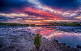 Sunset reflectie by Reint van Wijk