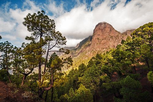 La Palma – Caldera de Taburiente