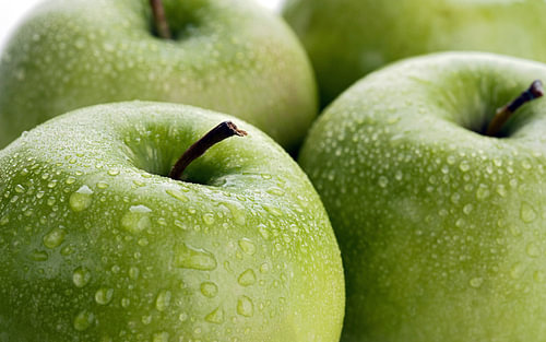 Appel