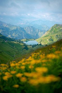 Bloemrijk uitzicht vanaf de Zeigersattel op de Seealpsee in de Allgäu van Leo Schindzielorz