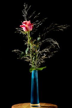Roos in een blauwe glazen vaas met zwarte achtergrond