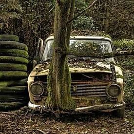 Bart Haest Profilfoto