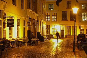 Een schim loopt door de nachtelijke natte straten van Goes van Gert van Santen