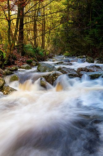 Bayehon stream in the forest by Mark Bolijn