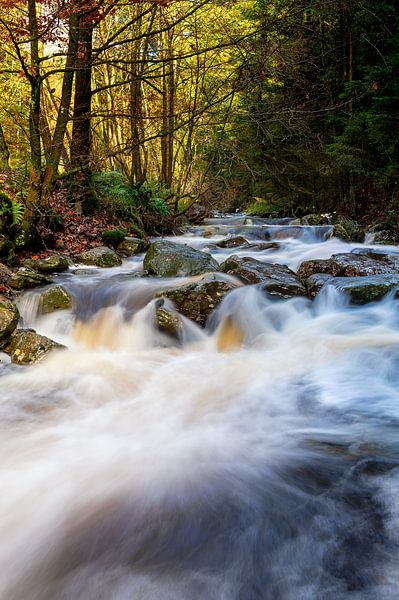 Bayehon stream in the forest by Mark Bolijn
